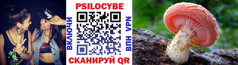 Купить где  Лахденпохья  Галлюциногенные грибы Magic Shrooms 